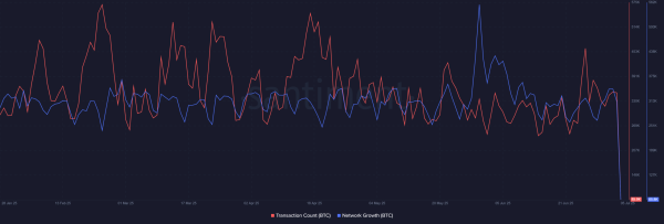 Bitcoin bulls in control? &ndash; Not if THESE signals are right
