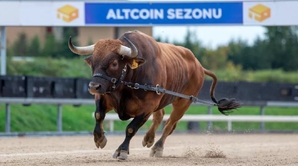 What&rsquo;s the Latest on the Big Altcoin Season Everyone&rsquo;s Dreaming About? Coinbase Analysts Respond