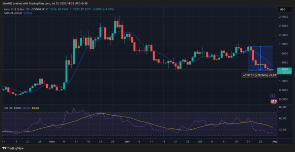 What is Info-Fi? Analyzing the Top 3 projects in this sector!