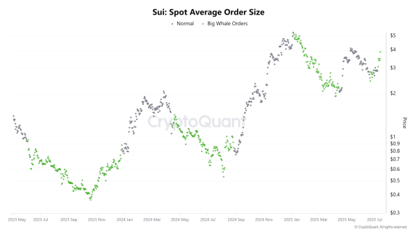 SUI is now &lsquo;overbought&rsquo;: When should you expect a pullback?