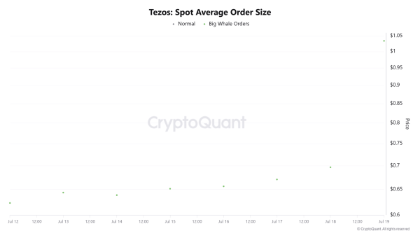 How Tezos whales helped XTZ surge 112% in the last month