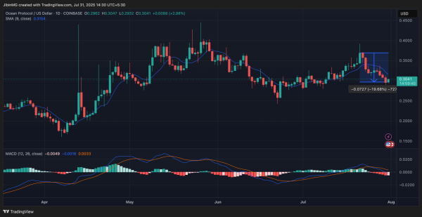 What is Info-Fi? Analyzing the Top 3 projects in this sector!