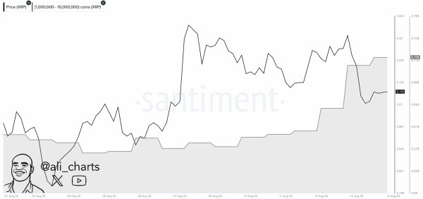 Ripple &ndash; 3 signals hint XRP could lead altcoins into Q3