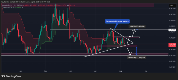 Assessing why Notcoin&rsquo;s $0.002 support is more fragile than it looks