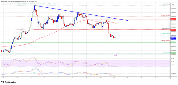 Cardano (ADA) Pulls Back, Will Bears Push It Lower Again?