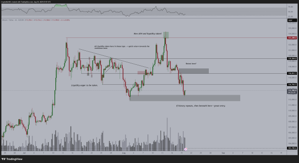 Bitcoin&rsquo;s price drops below $115K &ndash; Watch out for THESE 4 reversal signs!