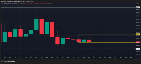 BNB: Why institutions are betting billions on Binance Coin&rsquo;s Q4