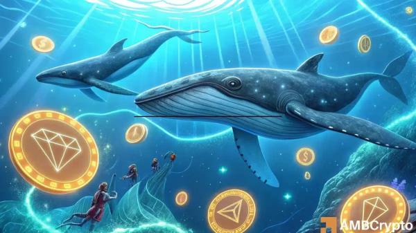 Tron whales pile into TRX, yet volatility risks remain &ndash; Why?