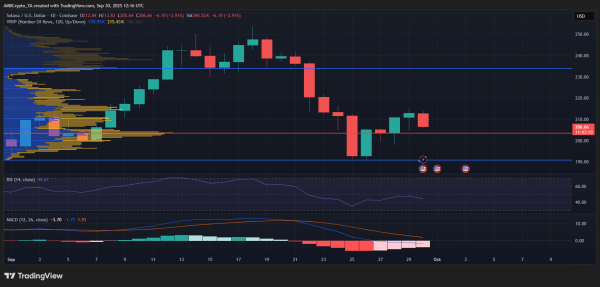 Solana holds KEY support despite $31.6M whale dump &ndash; Here&rsquo;s how