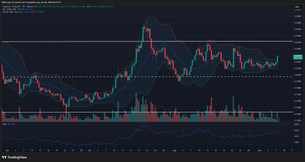 Dogecoin price prediction &ndash; Whales&rsquo; buying spree, a new breakout, and odds of hitting $0.25