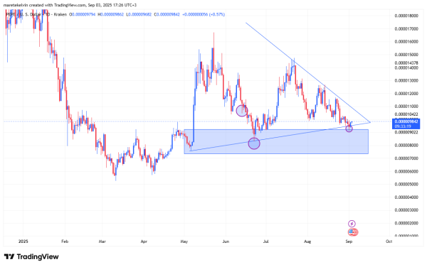PEPE vs Shiba Inu &ndash; Which memecoin has the edge right now?