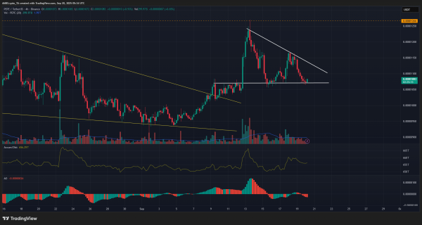 Why PEPE could dip below $0.0000105 despite 23% rally