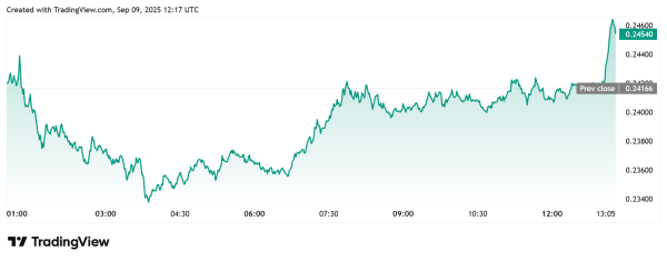 First Spot Dogecoin ETF To Launch On September 11