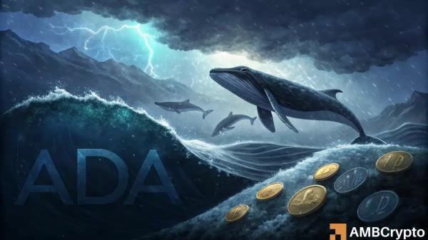 Will ADA&rsquo;s price return to form after Cardano whales &lsquo;buy the dip?&rsquo;