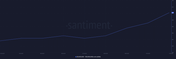 Will ADA&rsquo;s price return to form after Cardano whales &lsquo;buy the dip?&rsquo;