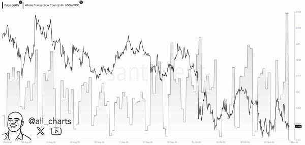 Why XRP stays muted despite whale transfers and rising STH demand