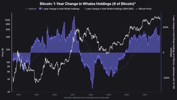 Why Bitcoin LTHs hold steady while new BTC whales face $1B in losses