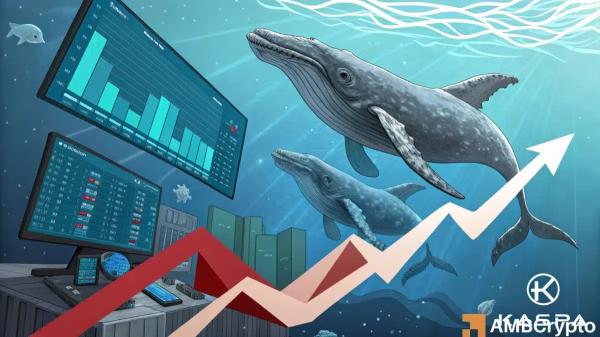 Is Kaspa’s 20% rally sustainable? Whale accumulation says… Is Kaspa’s 20% rally sustainable? Whale accumulation says…