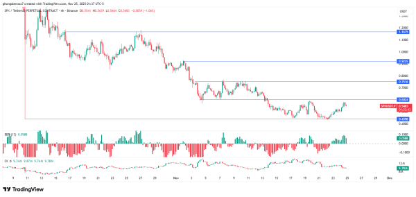 More SPX holders, less momentum: Will liquidity flip the trend?