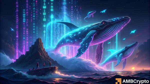 Why XRP stays muted despite whale transfers and rising STH demand