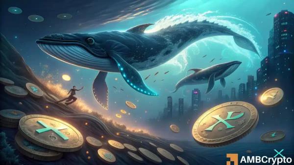 XRP whale demand hits 7-year highs &ndash; Why price still looks fragile