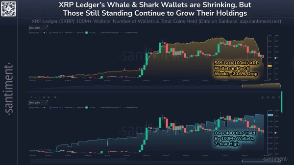 XRP whale demand hits 7-year highs &ndash; Why price still looks fragile