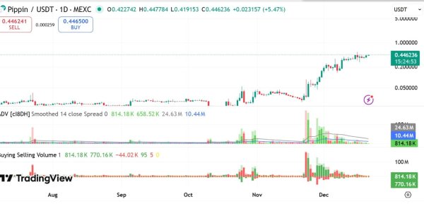 PIPPIN surges 20%, defends key support: Is a new ATH in sight?