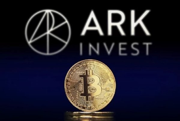 ARK Invest CEO Cathie Wood Says Bitcoin Will Be a Key Investment Diversification Tool in the Coming Years! Here Are the Details