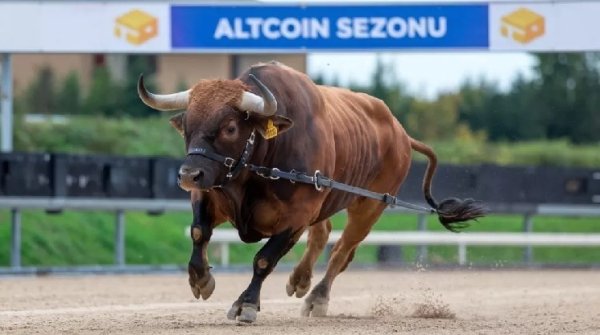 What&rsquo;s the Latest on the Expected Altcoin Season? 21 Altcoins Outperformed Bitcoin &ndash; Here&rsquo;s the List