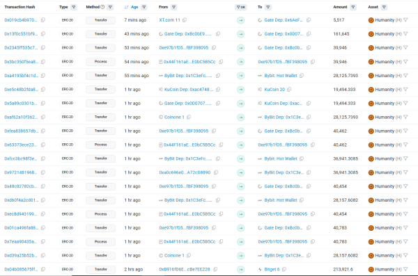 Here&rsquo;s why Humanity Protocol&rsquo;s (H) market is shaky despite 10% rally