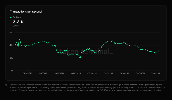 Solana processes 40% of L1 throughput amid memecoin boom &ndash; Explained