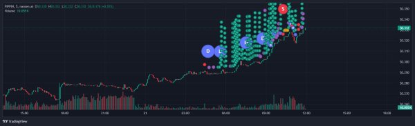 Analyzing PIPPIN&rsquo;s 27% surge: Is the $0.5 target within sight?
