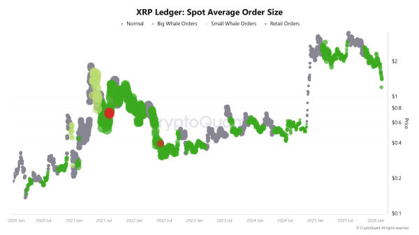 XRP &ndash; Whales, institutions, and why a new ATH could be next for the altcoin