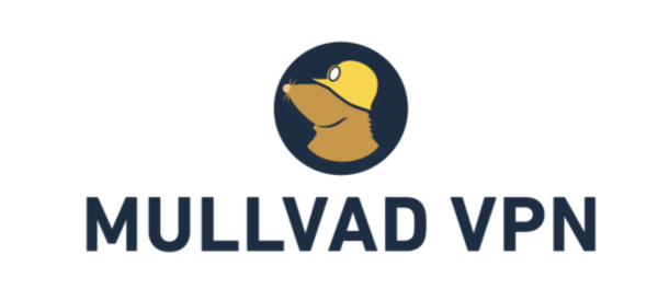 Top 11 VPNs of February 2026