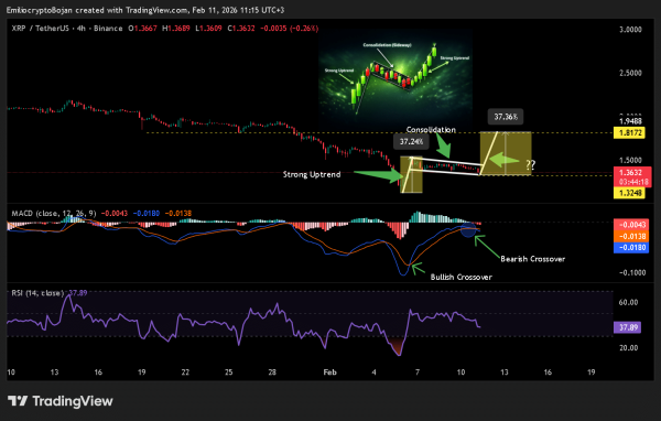 Is $1.81 next for XRP&rsquo;s price after 229M whale transfers test bull flag?