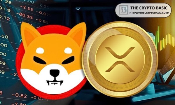 Dubai Investor Dumps All XRP Holdings for Shiba Inu