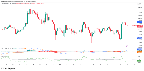 Monad jumps 13% &ndash; Yet THESE red flags could cap MON