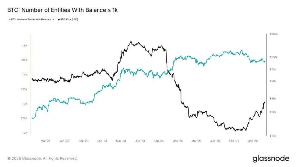 Bitcoin stabilizes below $80K – Is the worst over for BTC? Bitcoin stabilizes below $80K – Is the worst over for BTC?