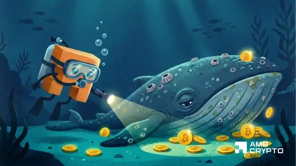 Oldest Satoshi-era Bitcoin wallet buys $2B in BTC – What does it know? Oldest Satoshi-era Bitcoin wallet buys $2B in BTC – What does it know?