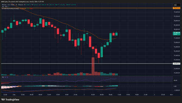 Bitcoin stabilizes below $80K – Is the worst over for BTC? Bitcoin stabilizes below $80K – Is the worst over for BTC?