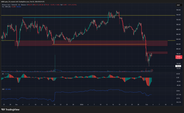 BNB faces KEY supply walls: Can $730 support hold strong?