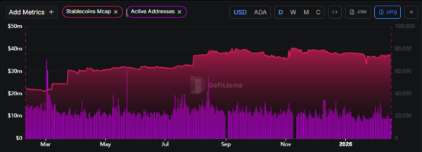 Cardano&rsquo;s $0.244 defense returns, but will on-chain activity pull ADA down?