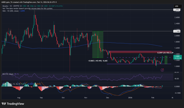 Apollo’s $90 mln plan – Enough to erase MORPHO’s 40% Q4 slide? Apollo’s $90 mln plan – Enough to erase MORPHO’s 40% Q4 slide?