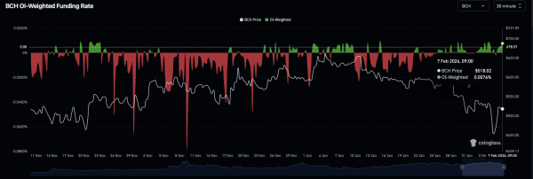 Bitcoin Cash&rsquo;s rally faces KEY test &ndash; Can BCH hold above $500?