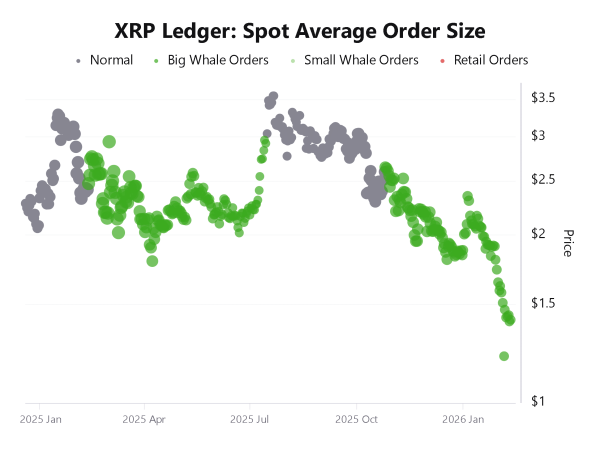 Is $1.81 next for XRP&rsquo;s price after 229M whale transfers test bull flag?